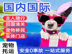 白塔航空邮寄国际宠物托运 【国